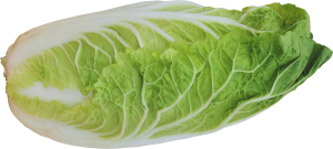 Salad PNG image-2815